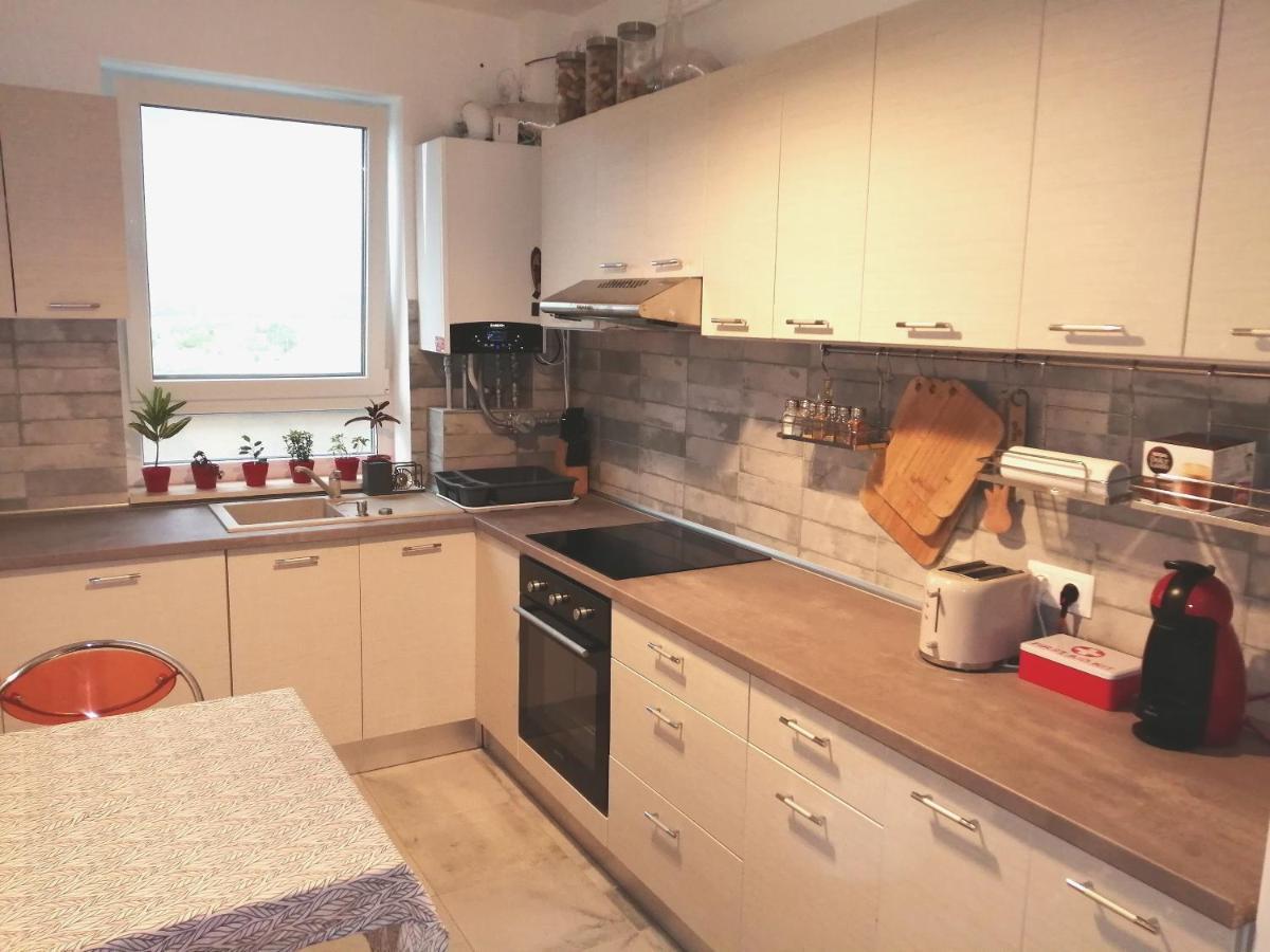 Târgu-Mureş Maurer Loft 아파트 외부 사진