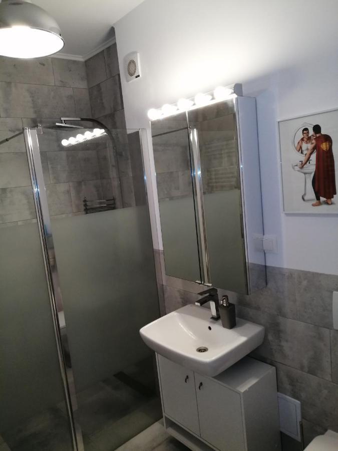 Târgu-Mureş Maurer Loft 아파트 외부 사진