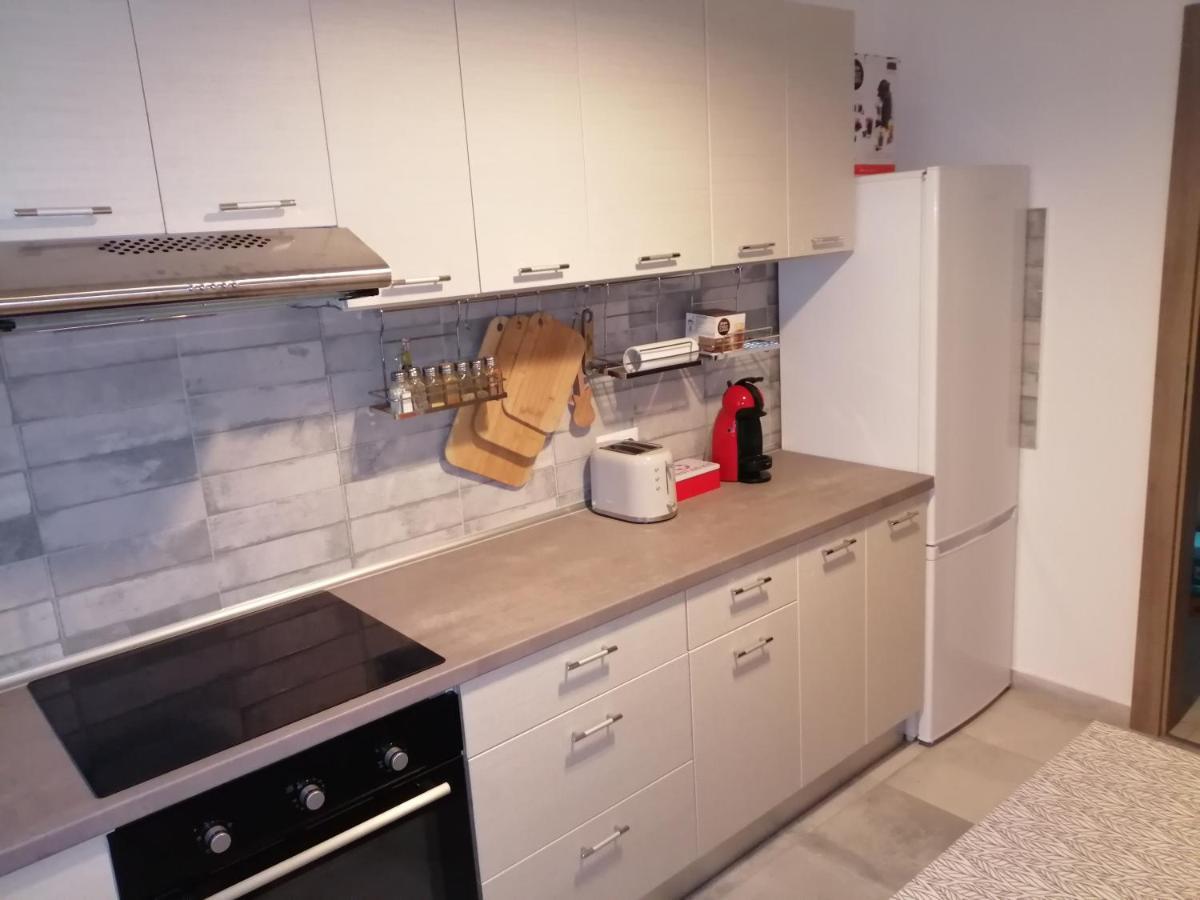 Târgu-Mureş Maurer Loft 아파트 외부 사진