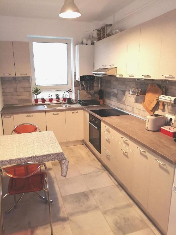 Târgu-Mureş Maurer Loft 아파트 외부 사진