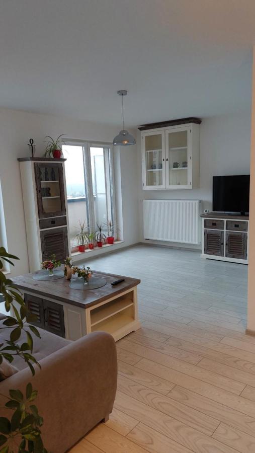 Târgu-Mureş Maurer Loft 아파트 외부 사진